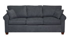 Non-toxic Douglas Queen Condo Sleeper, Sofas - Endicott Home Furnishings - 1